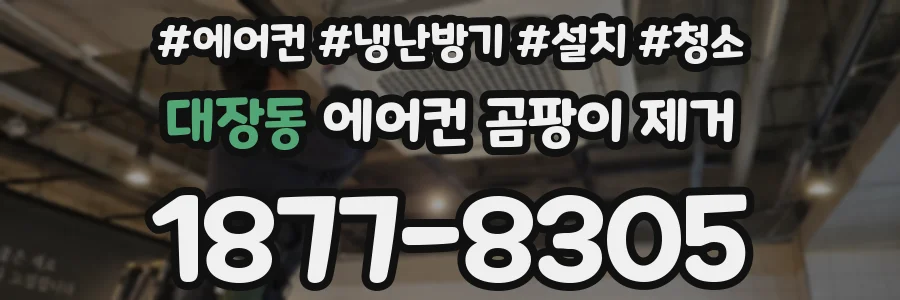 대장동 에어컨 곰팡이 제거