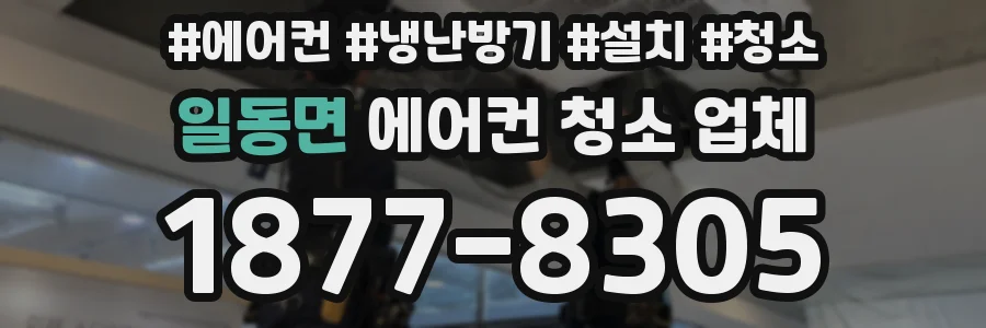 일동면 에어컨 청소 업체