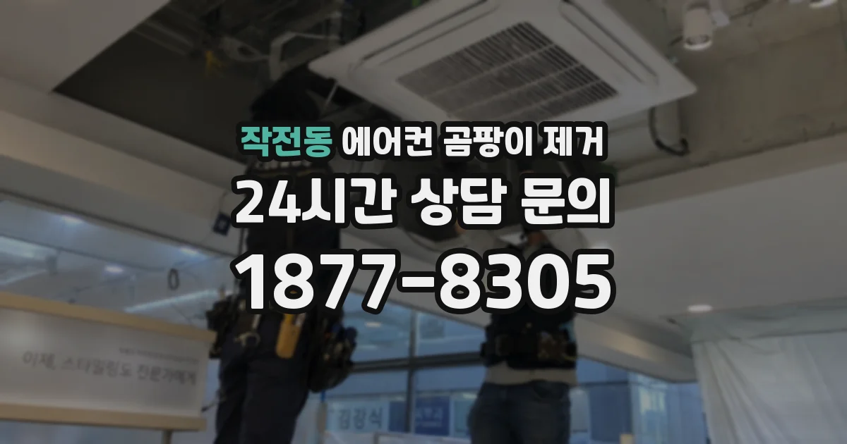 작전동 에어컨 곰팡이 제거