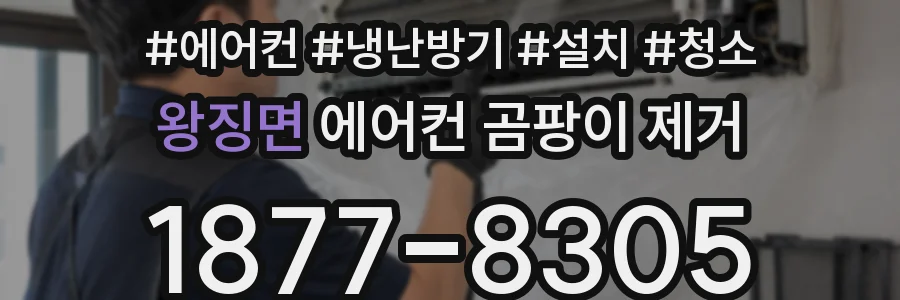 왕징면 에어컨 곰팡이 제거