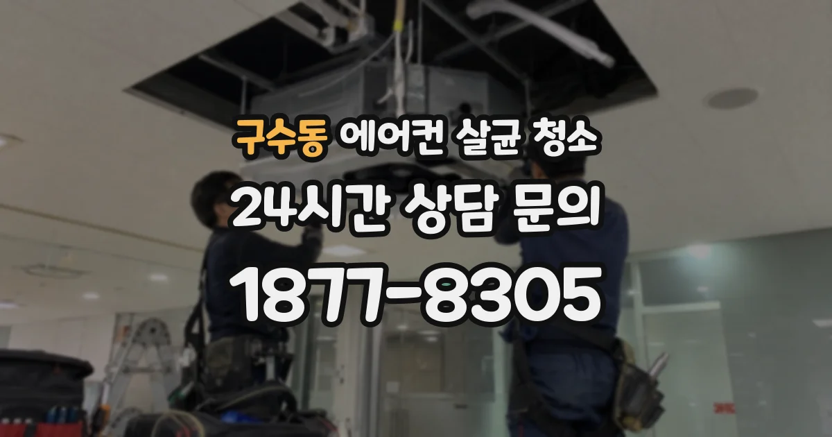 구수동 에어컨 살균 청소