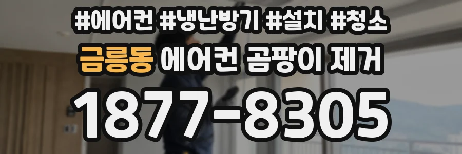 금릉동 에어컨 곰팡이 제거