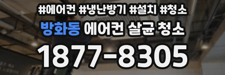 방화동 에어컨 살균 청소