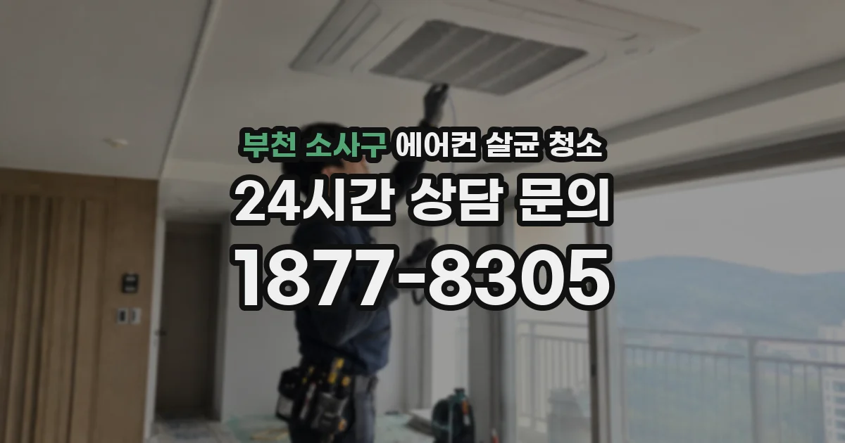 부천 소사구 에어컨 살균 청소