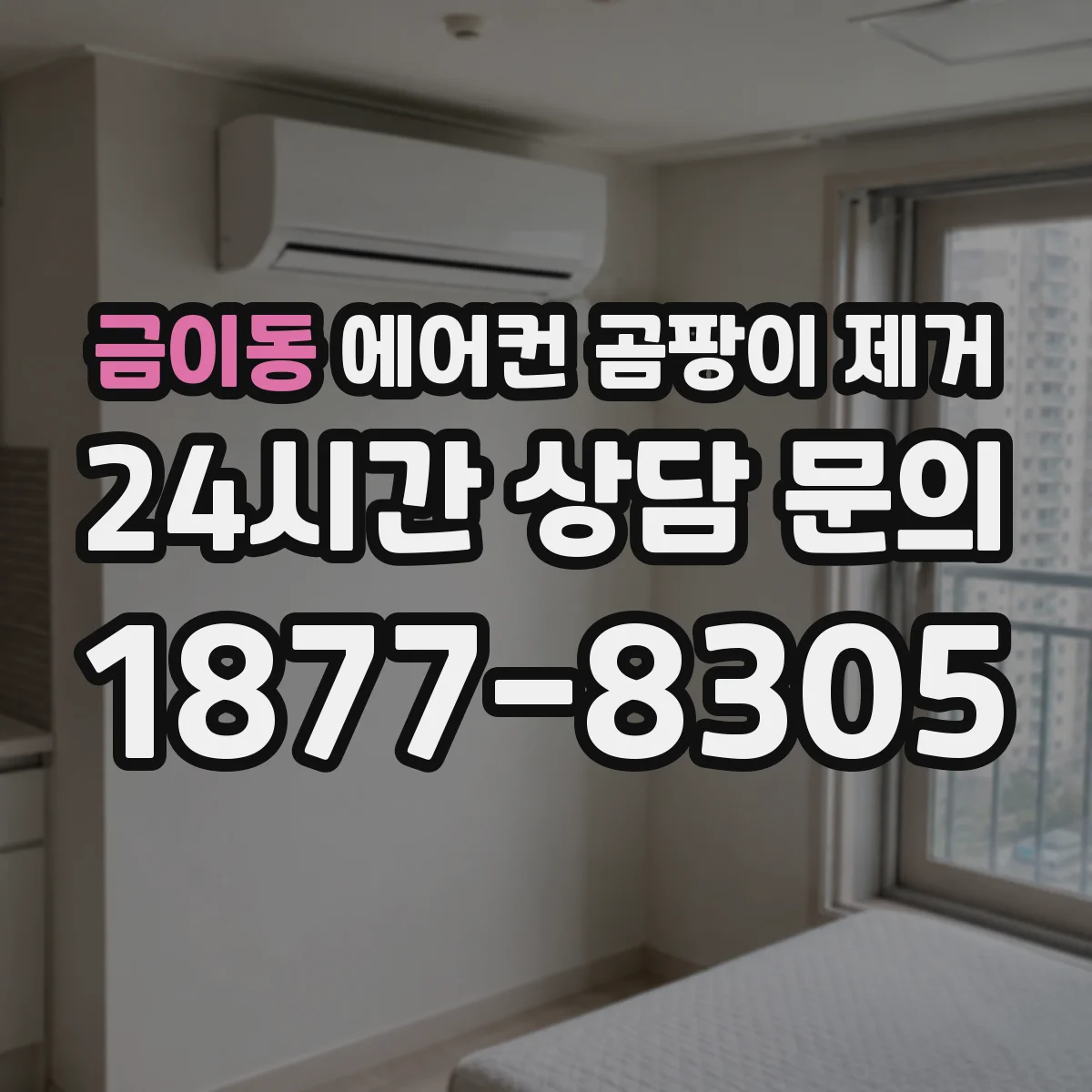 금이동 에어컨 곰팡이 제거