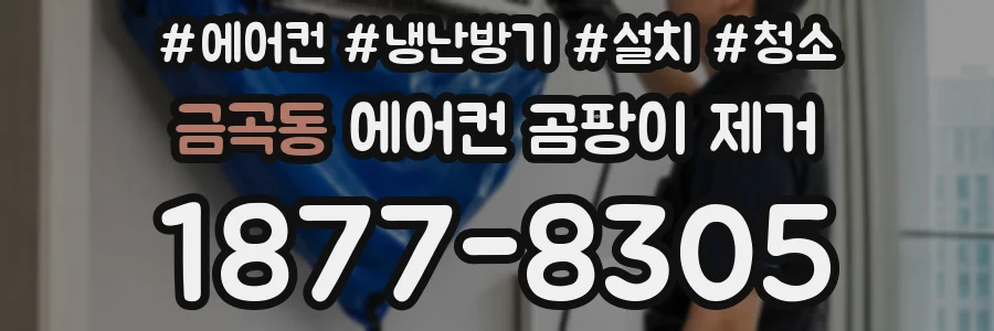 금곡동 에어컨 곰팡이 제거