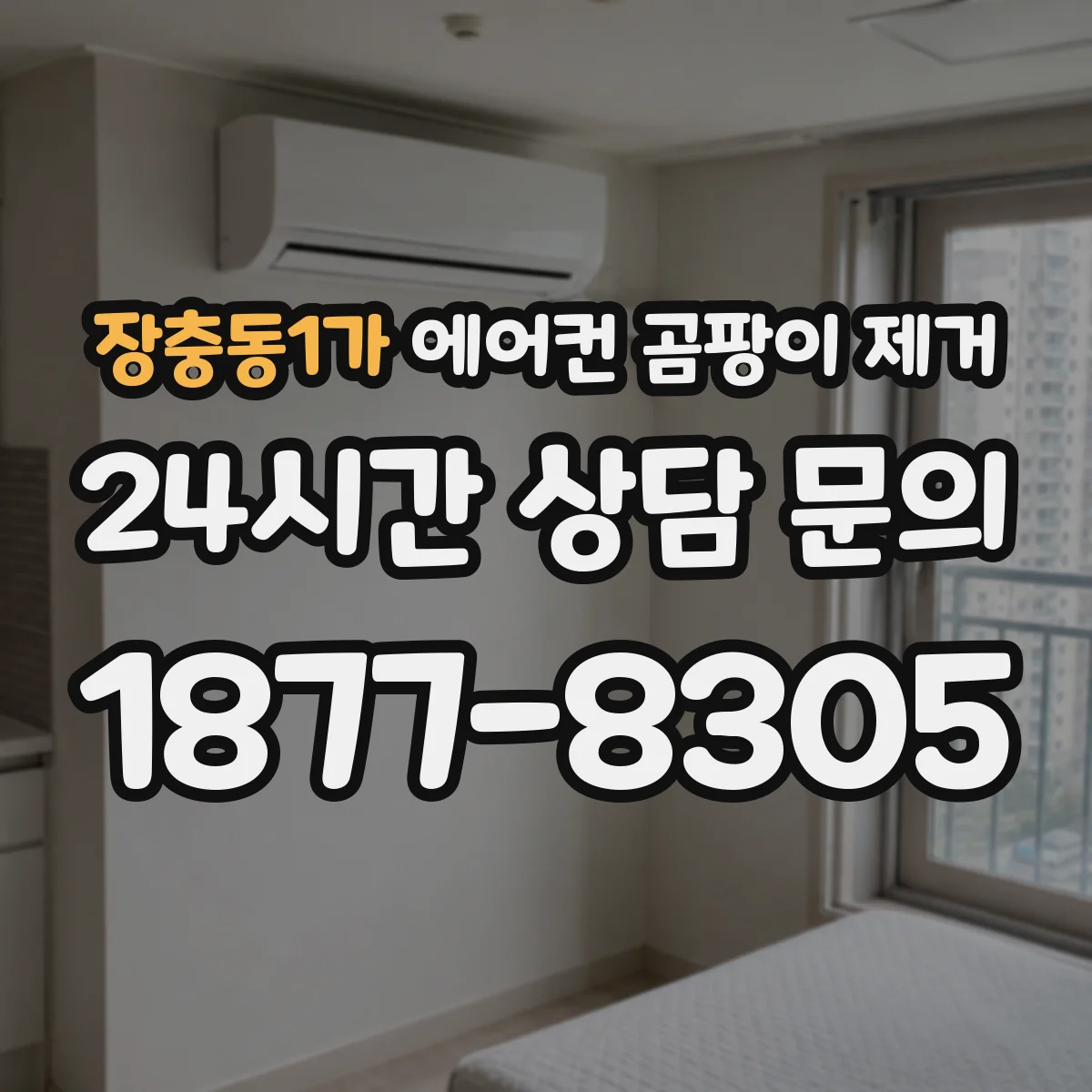 장충동1가 에어컨 곰팡이 제거