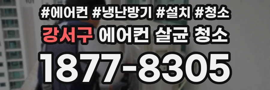 강서구 에어컨 살균 청소