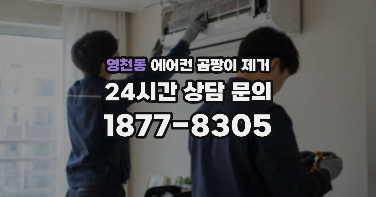 영천동 에어컨 곰팡이 제거