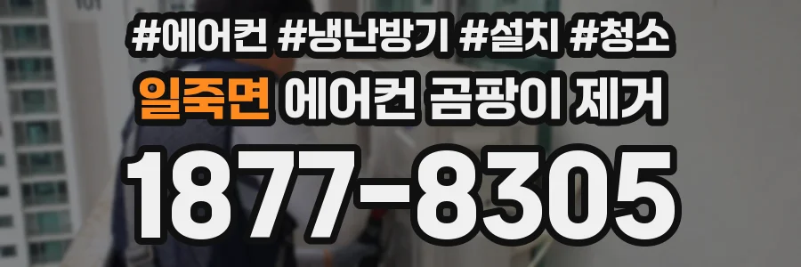 일죽면 에어컨 곰팡이 제거