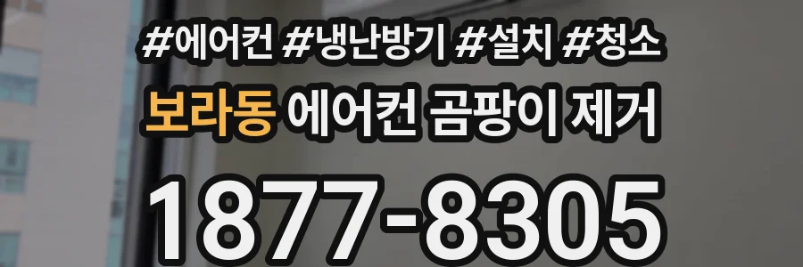 보라동 에어컨 곰팡이 제거
