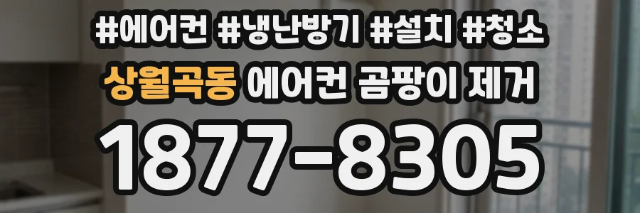상월곡동 에어컨 곰팡이 제거