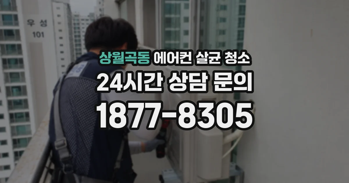 상월곡동 에어컨 살균 청소