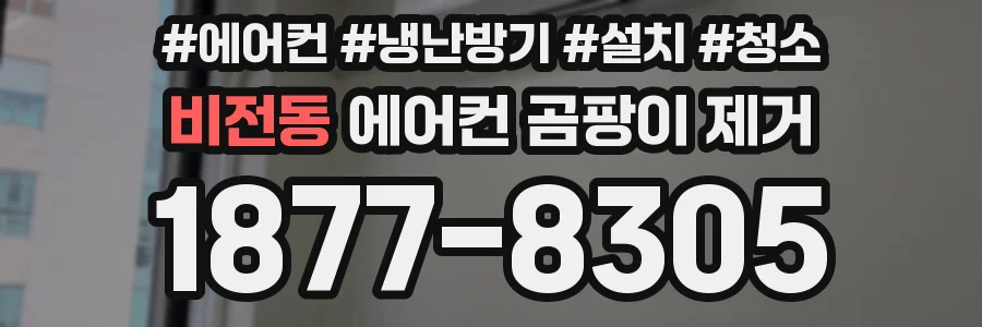 비전동 에어컨 곰팡이 제거
