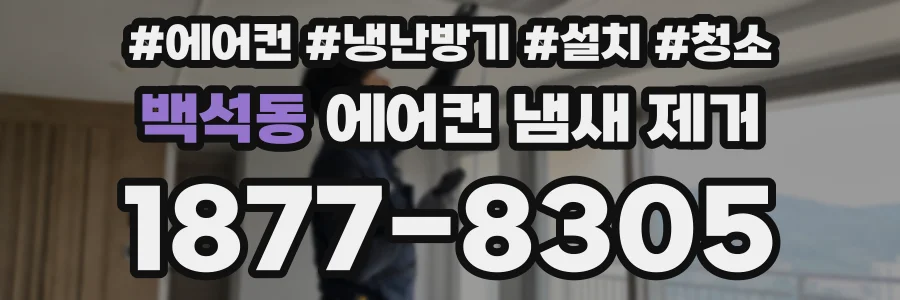 백석동 에어컨 냄새 제거