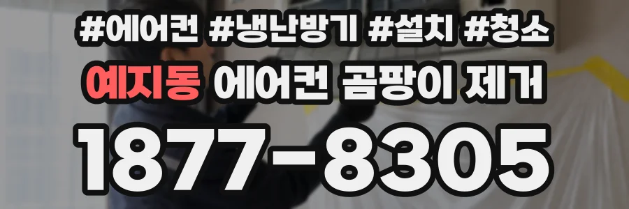 예지동 에어컨 곰팡이 제거