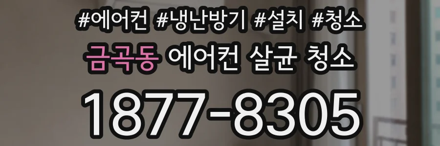 금곡동 에어컨 살균 청소