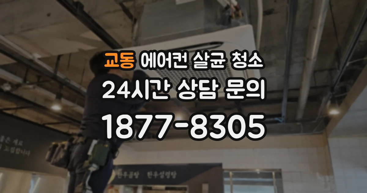 교동 에어컨 살균 청소