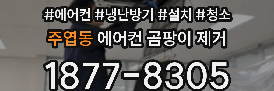 주엽동 에어컨 곰팡이 제거