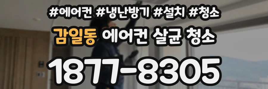 감일동 에어컨 살균 청소