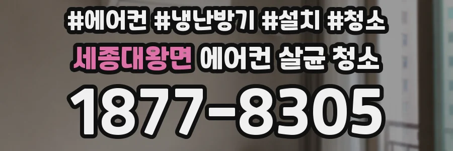 세종대왕면 에어컨 살균 청소