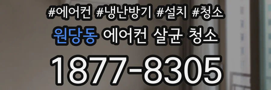 원당동 에어컨 살균 청소