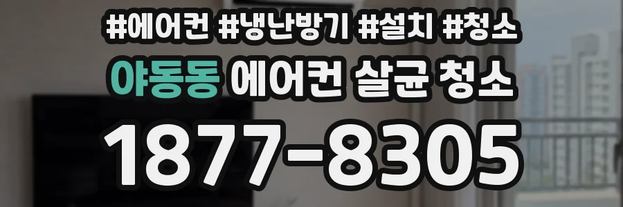 야동동 에어컨 살균 청소