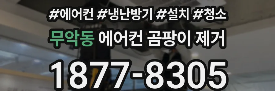 무악동 에어컨 곰팡이 제거