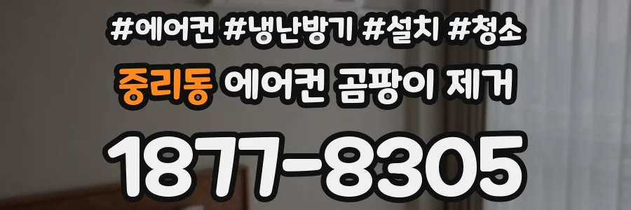 중리동 에어컨 곰팡이 제거