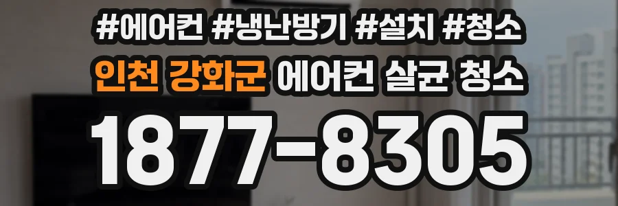 인천 강화군 에어컨 살균 청소
