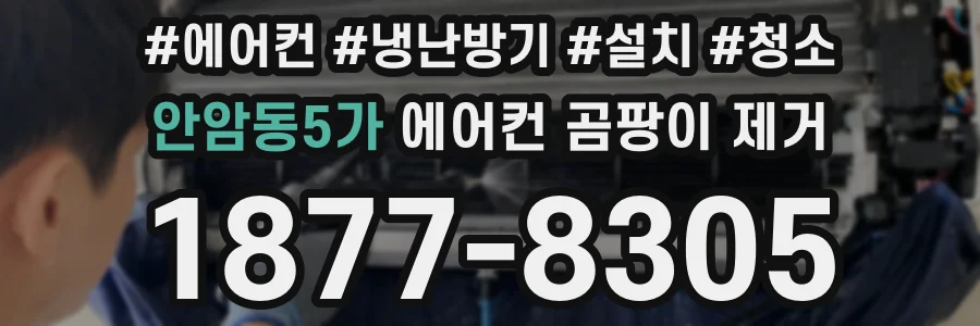 안암동5가 에어컨 곰팡이 제거