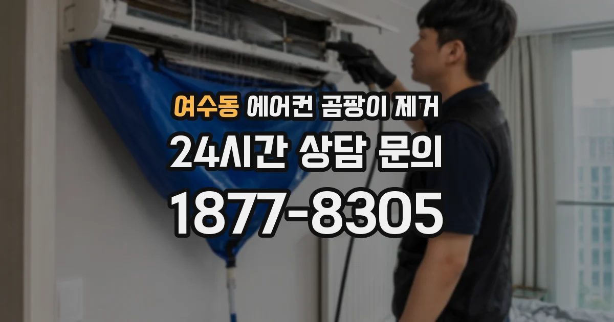 여수동 에어컨 곰팡이 제거