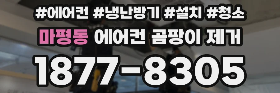 마평동 에어컨 곰팡이 제거