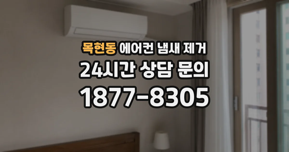 목현동 에어컨 냄새 제거