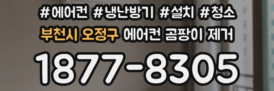 부천시 오정구 에어컨 곰팡이 제거