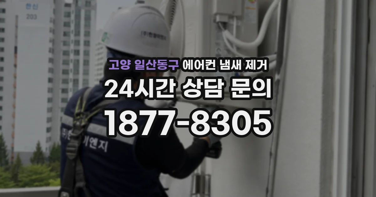 고양 일산동구 에어컨 냄새 제거