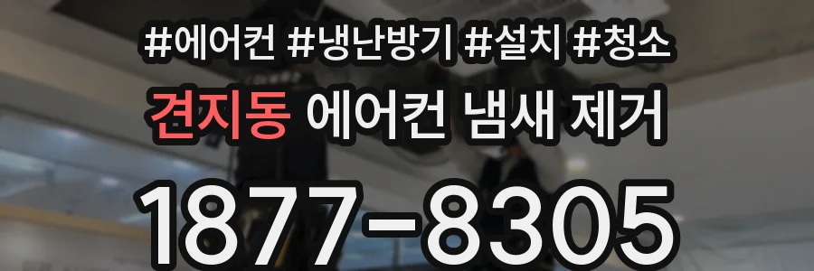 견지동 에어컨 냄새 제거