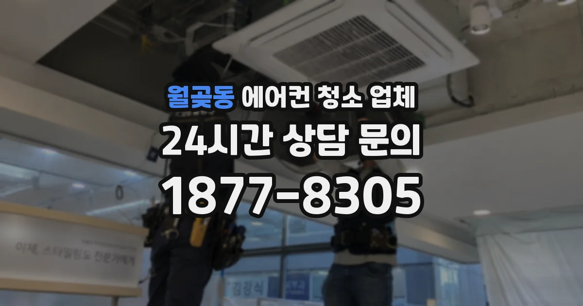 월곶동 에어컨 청소 업체