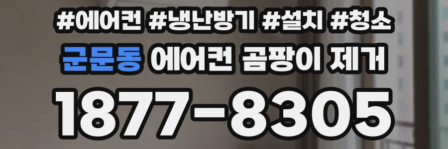 군문동 에어컨 곰팡이 제거