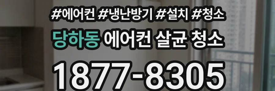 당하동 에어컨 살균 청소