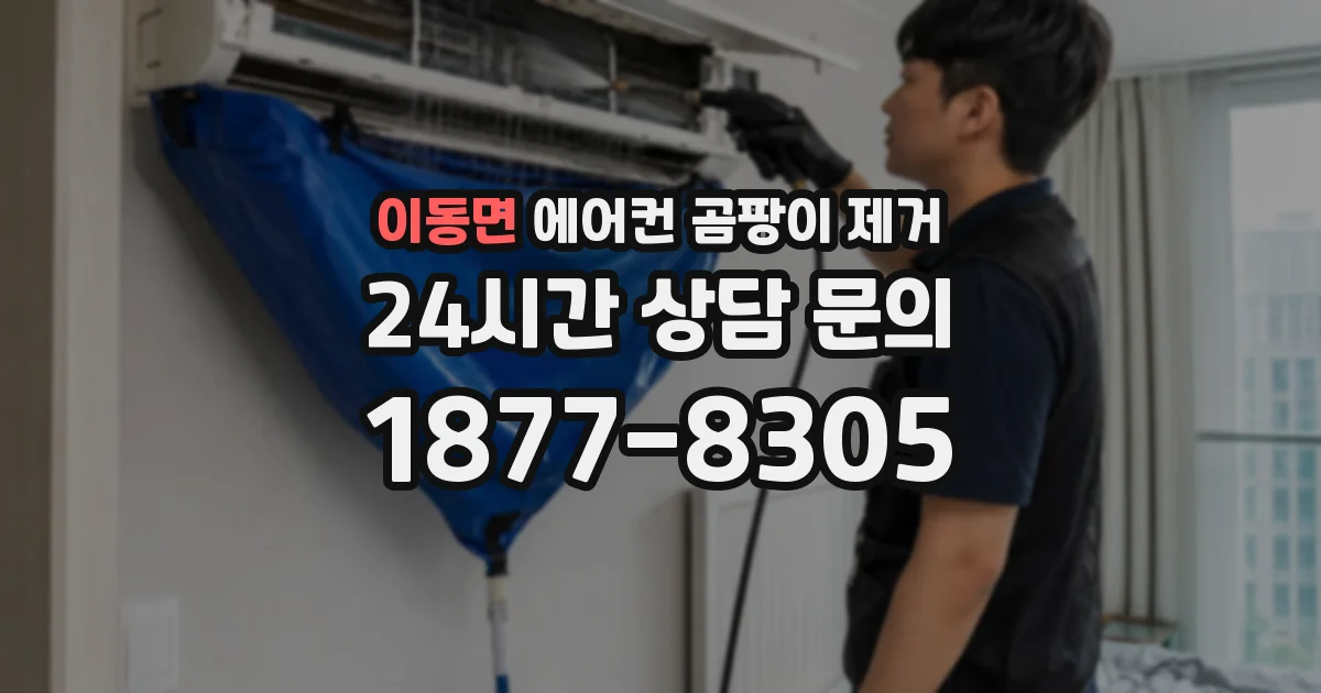 이동면 에어컨 곰팡이 제거