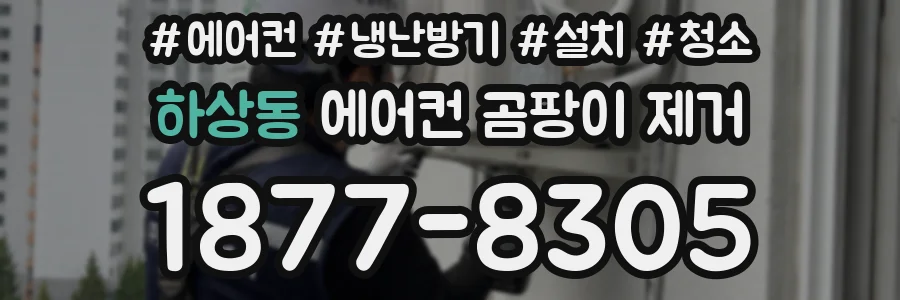 하상동 에어컨 곰팡이 제거