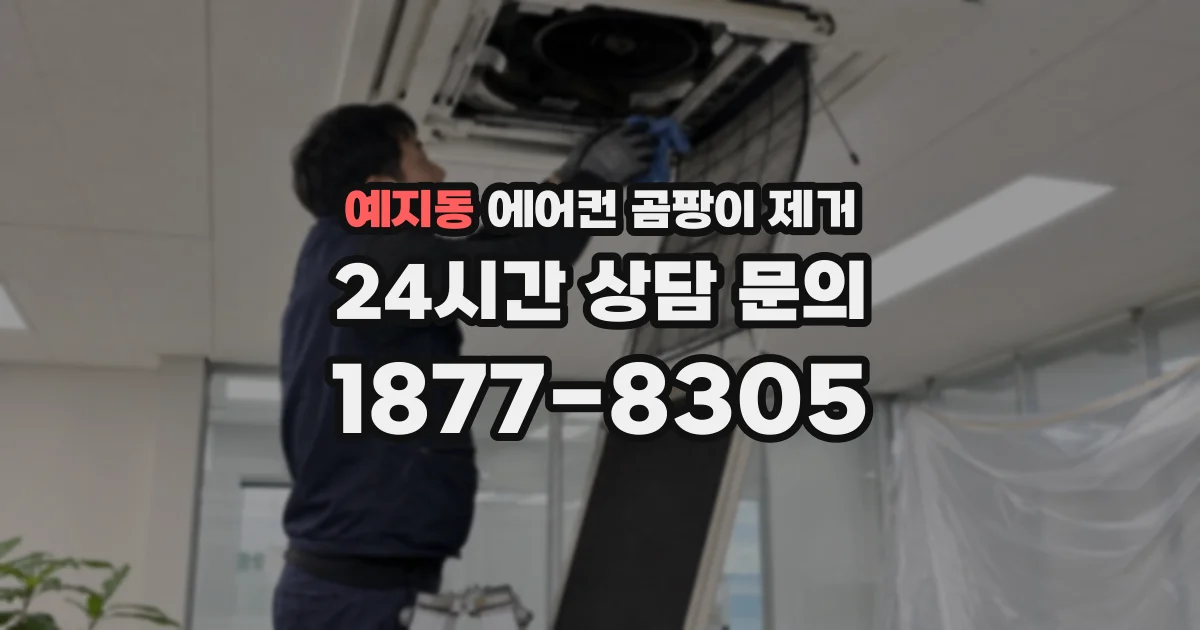 예지동 에어컨 곰팡이 제거