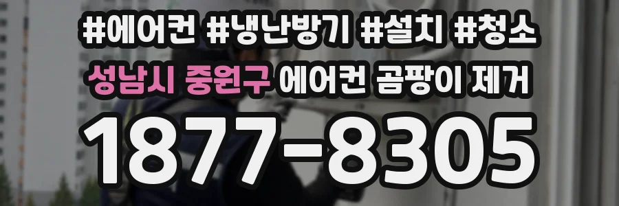 성남시 중원구 에어컨 곰팡이 제거