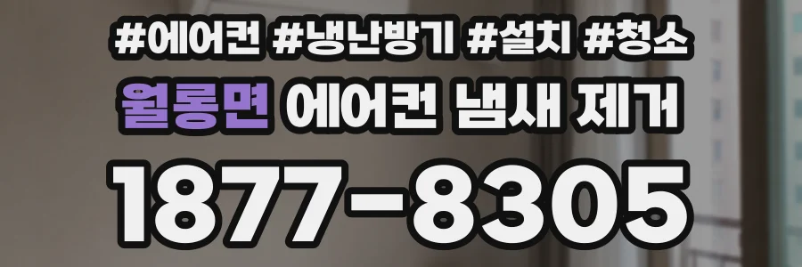 월롱면 에어컨 냄새 제거