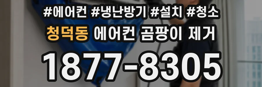 청덕동 에어컨 곰팡이 제거