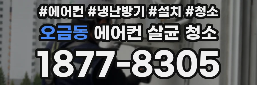 오금동 에어컨 살균 청소