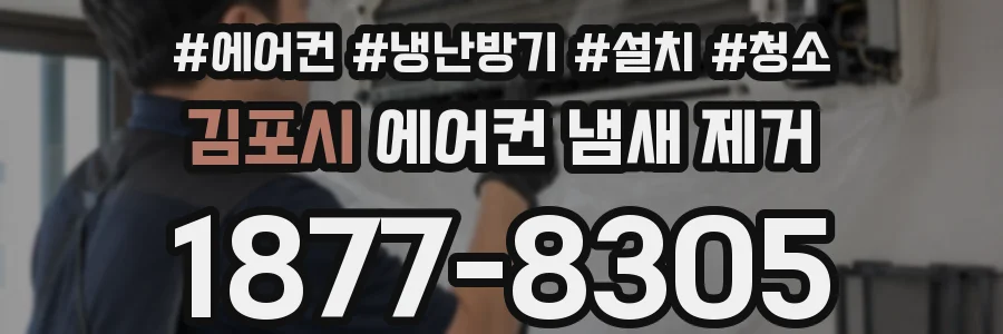 김포시 에어컨 냄새 제거