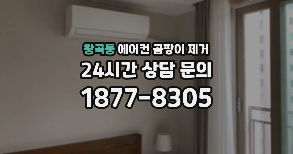 왕곡동 에어컨 곰팡이 제거