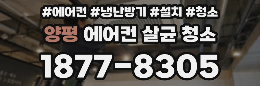 양평 에어컨 살균 청소